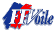 logoFFV.gif